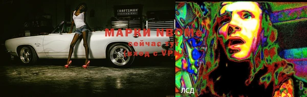 сатива Алзамай