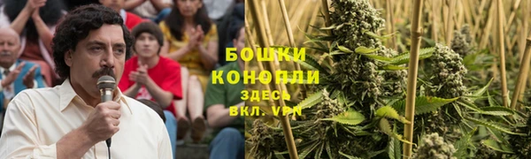 сатива Алзамай