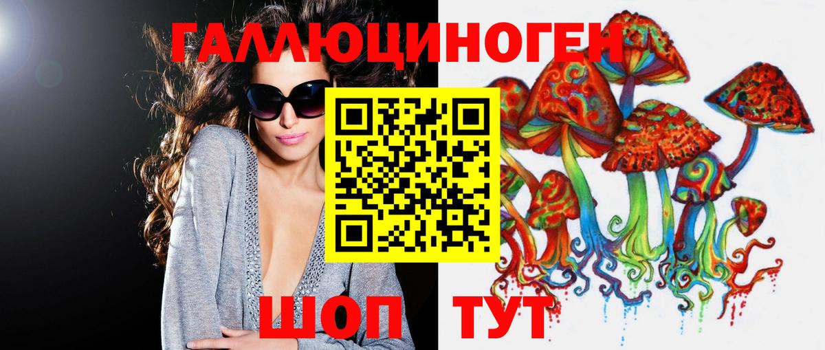Псилоцибиновые грибы ЛСД  наркошоп  Курганинск  Вход с VPN 