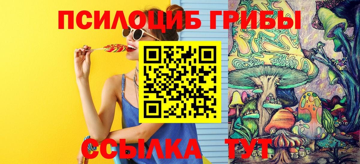 Галлюциногенные грибы Psilocybe Курганинск